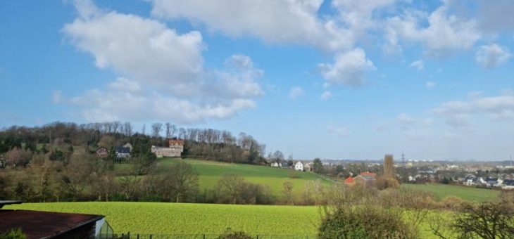 Freihstehendes Ein-bis Zweifamilienhaus mit riesiger Terrasse und traumhaften Blick ins Grüne! (VERKAUFT)